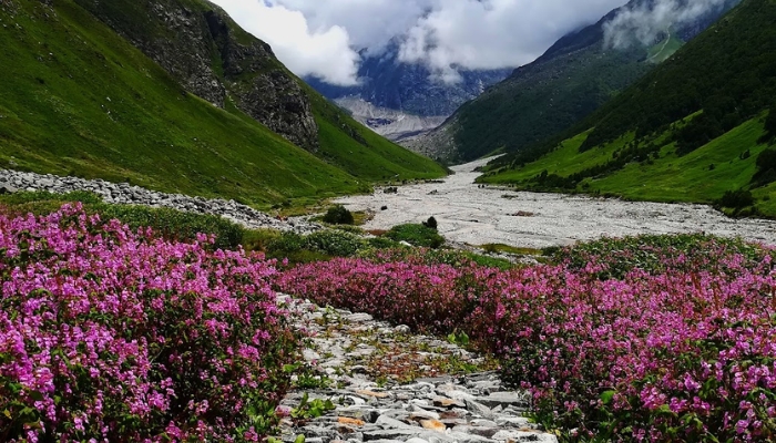 Har Ki Dun Trek Top Attractions & Cultural Activities