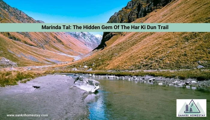 Marinda Tal The Hidden Gem Of The Har Ki Dun Trail